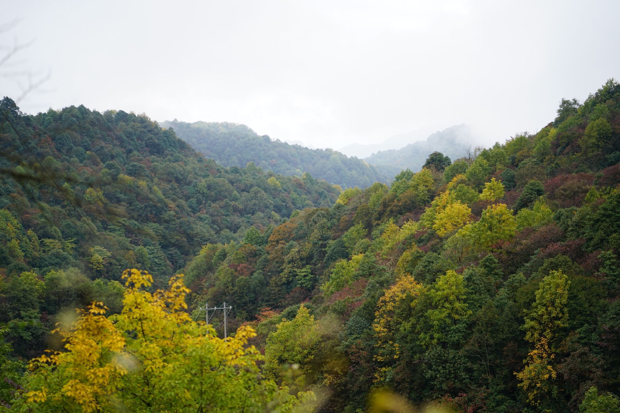 小草坝生态旅游区