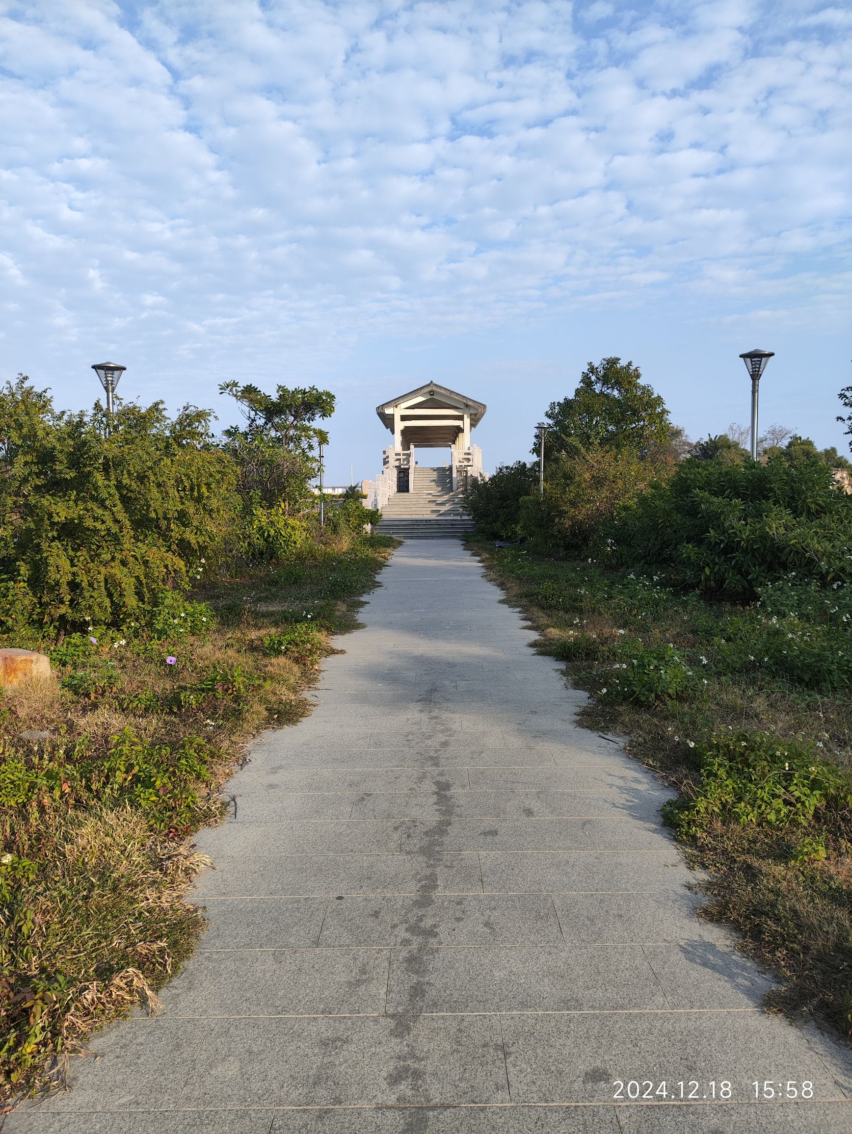 凤岗妈湿地公园旅行图片 1