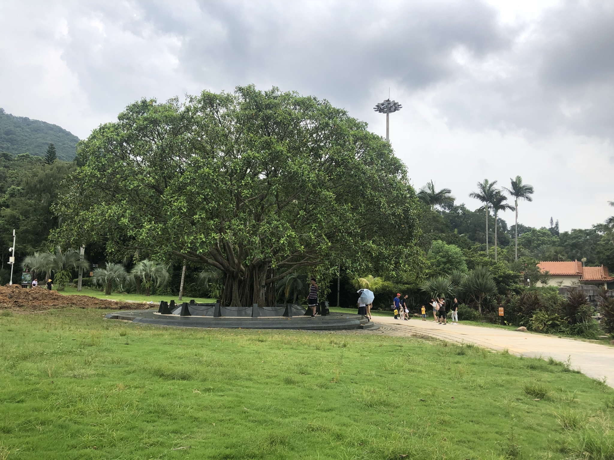 凤岗妈湿地公园旅行图片 1
