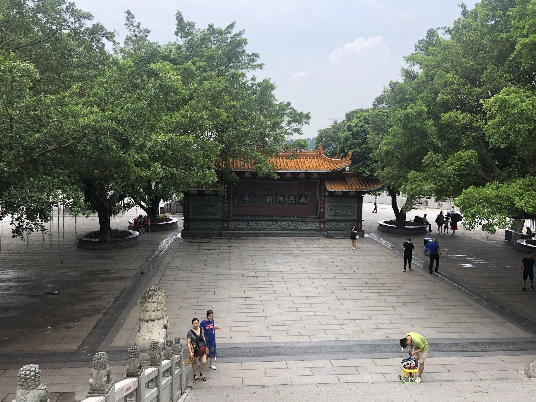 凤岗妈湿地公园旅行图片 3