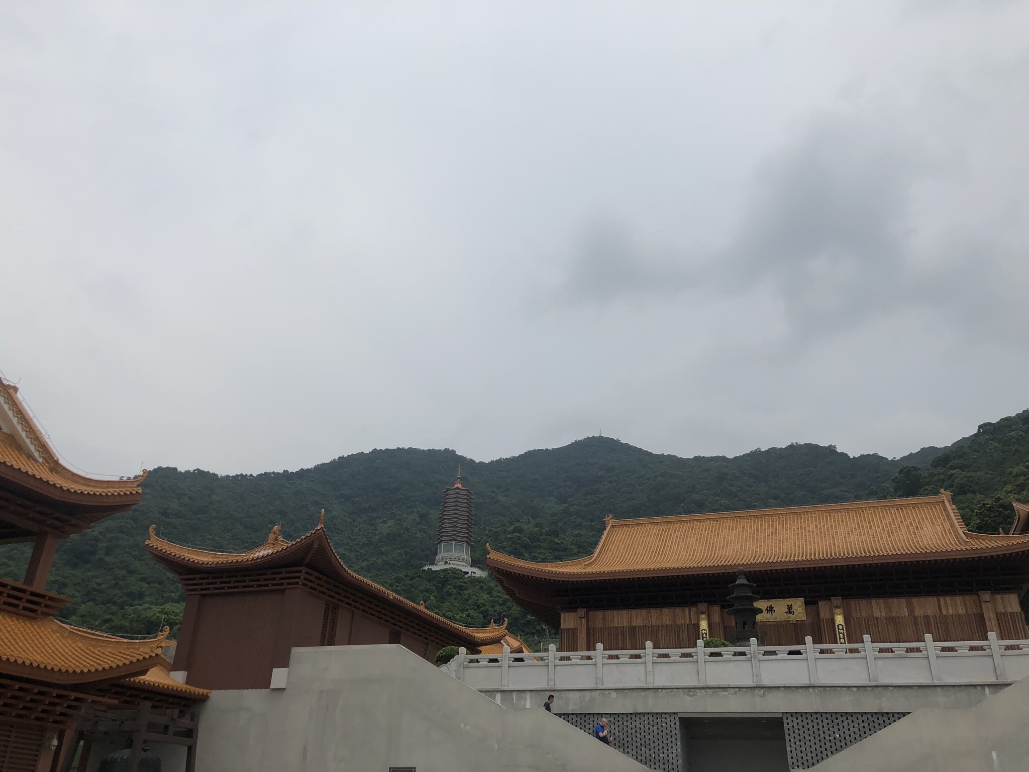 凤岗妈湿地公园旅行图片 2