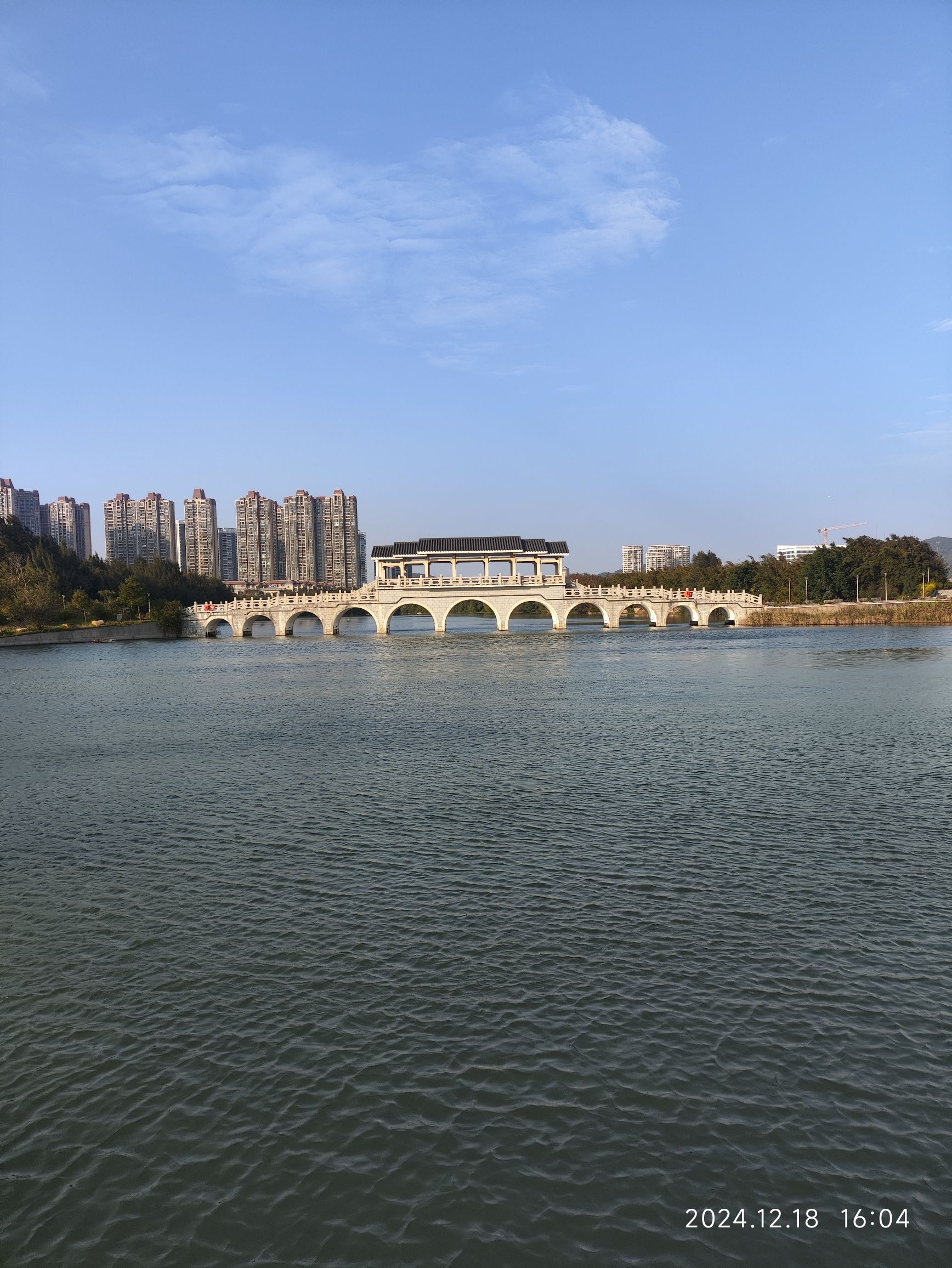 凤岗妈湿地公园旅行图片 3