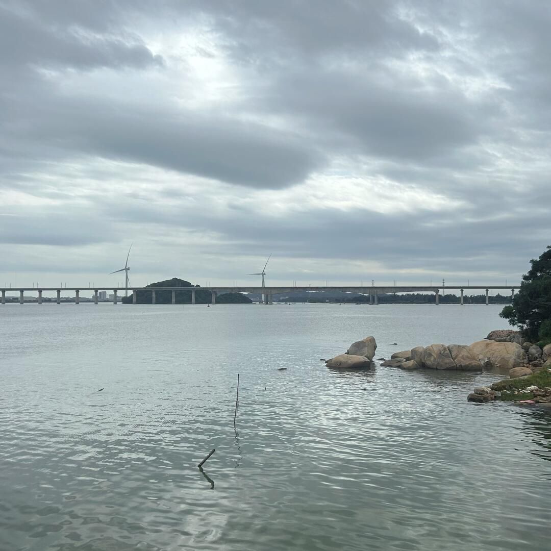凤岗妈湿地公园旅行图片 3