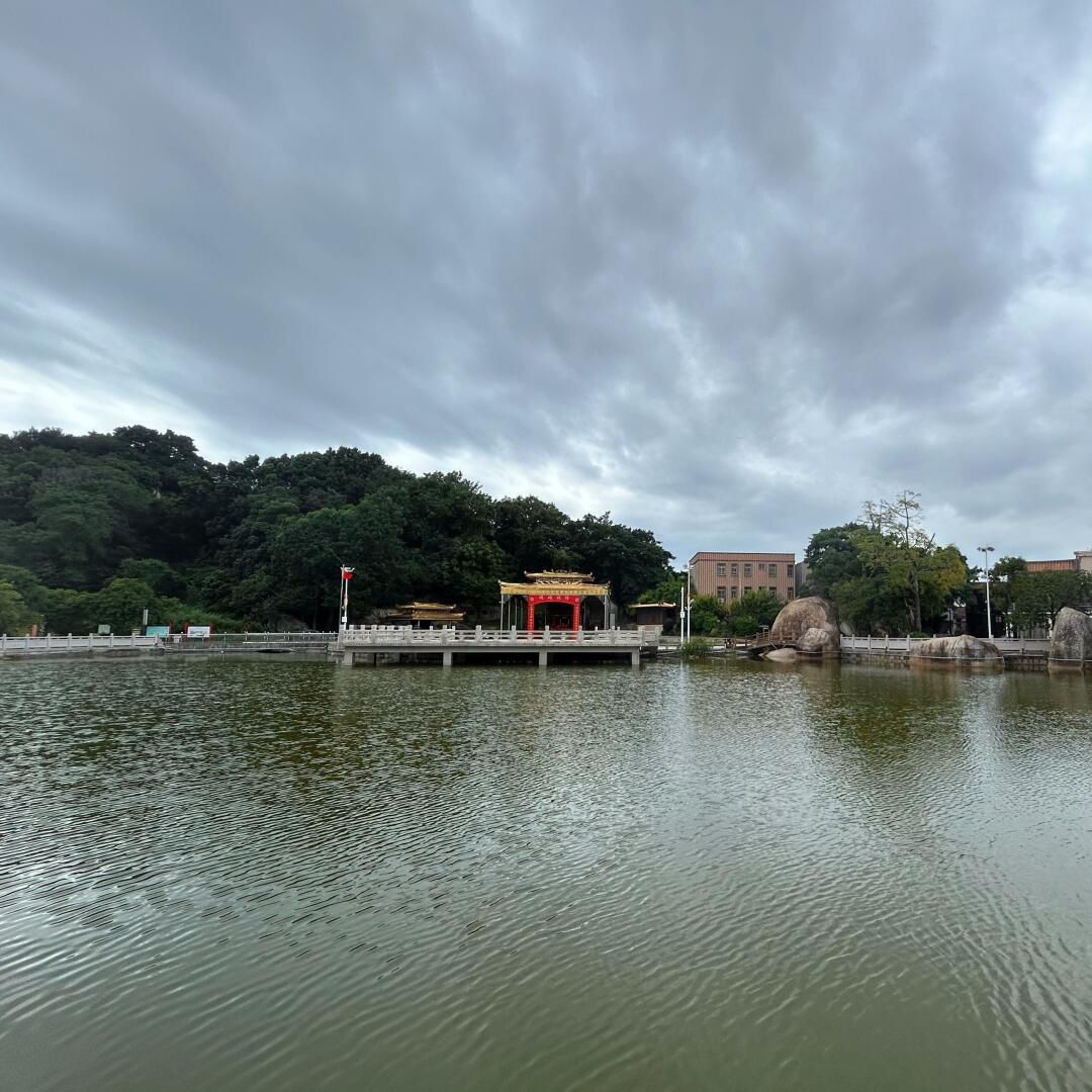 凤岗妈湿地公园旅行图片 2