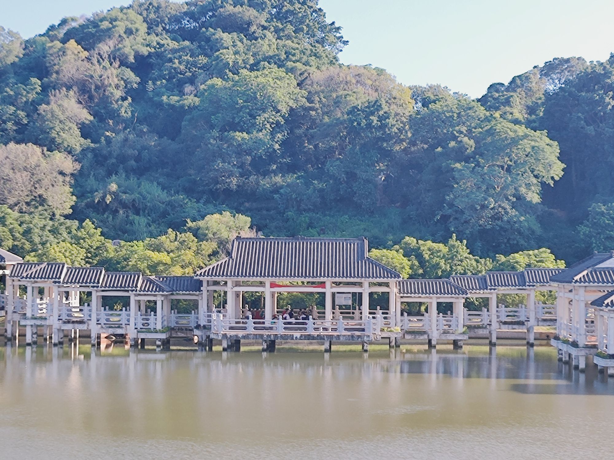 凤岗妈湿地公园旅行图片 2