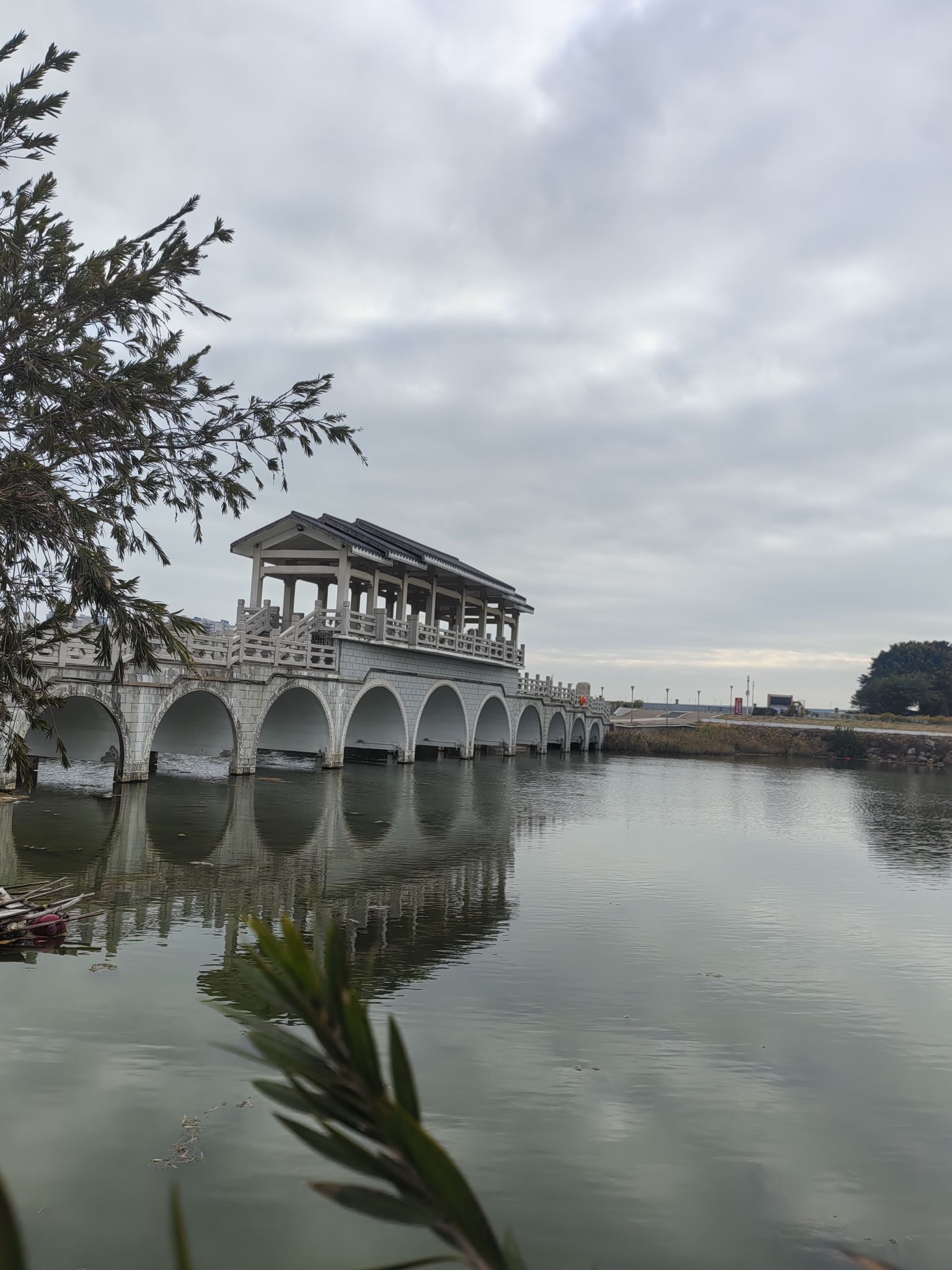 凤岗妈湿地公园旅行图片 2