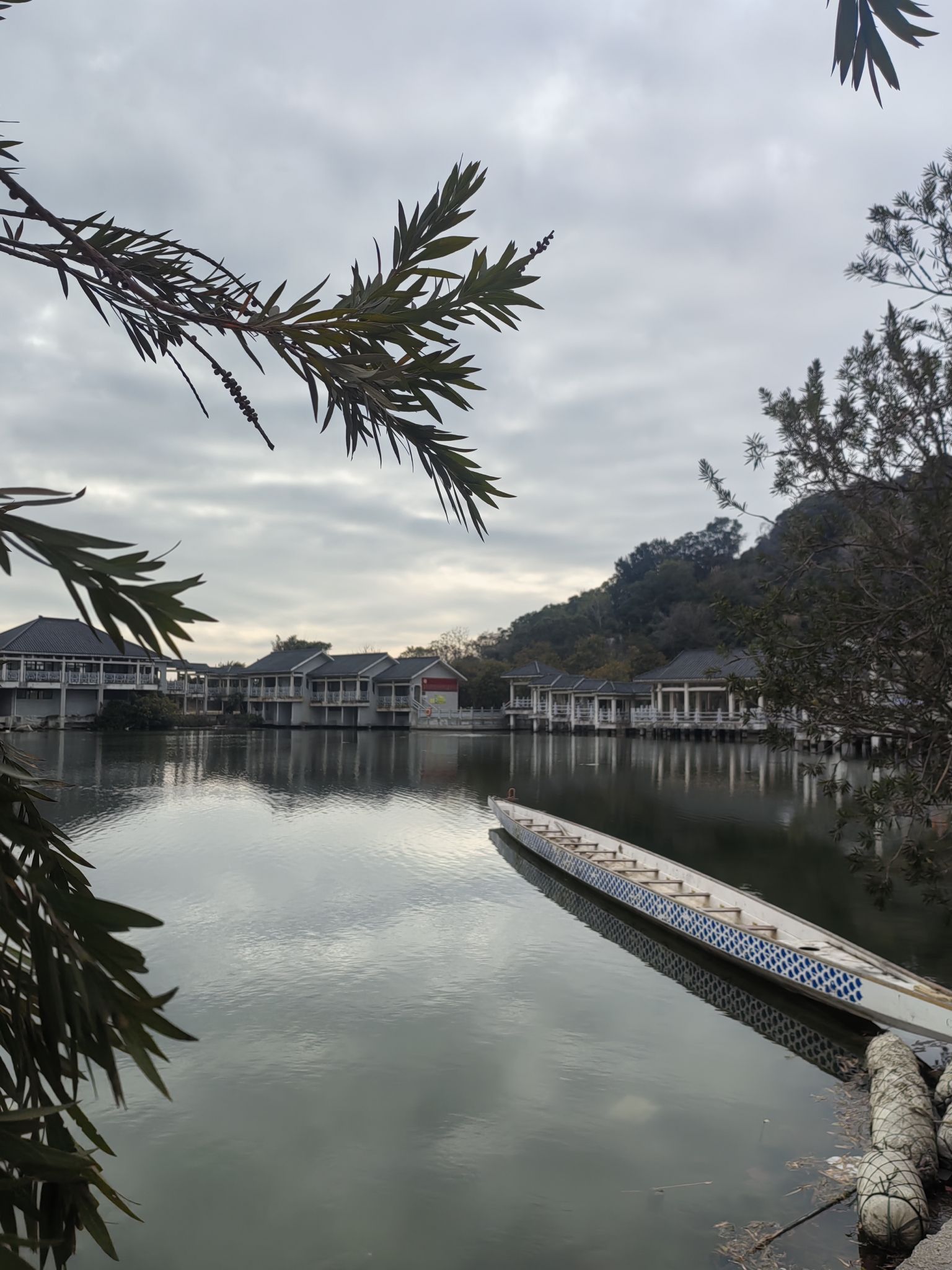 凤岗妈湿地公园旅行图片 1