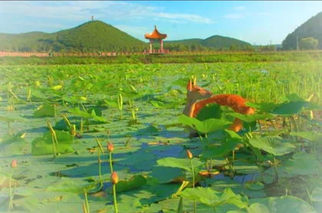 铁西森林公园旅行图片 1