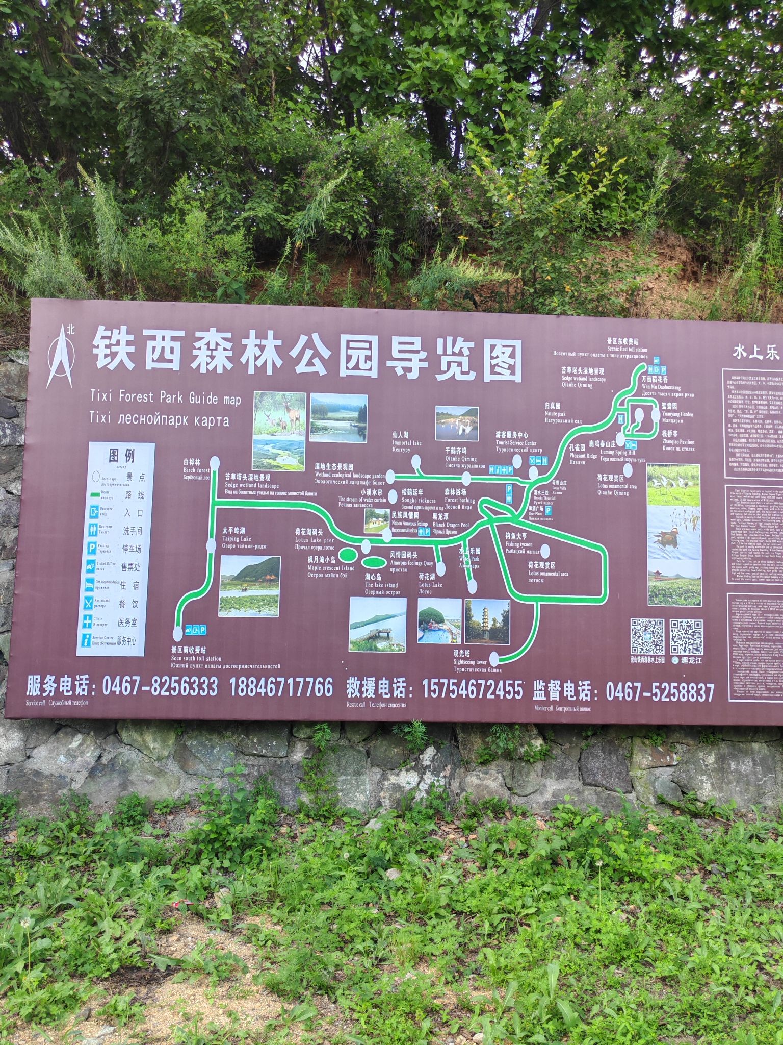 铁西森林公园旅行图片 1