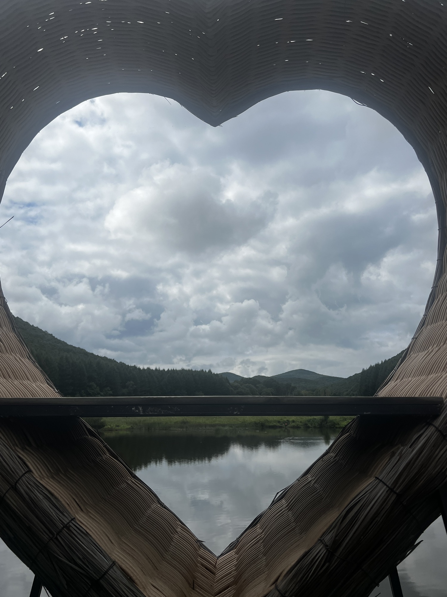 铁西森林公园旅行图片 2