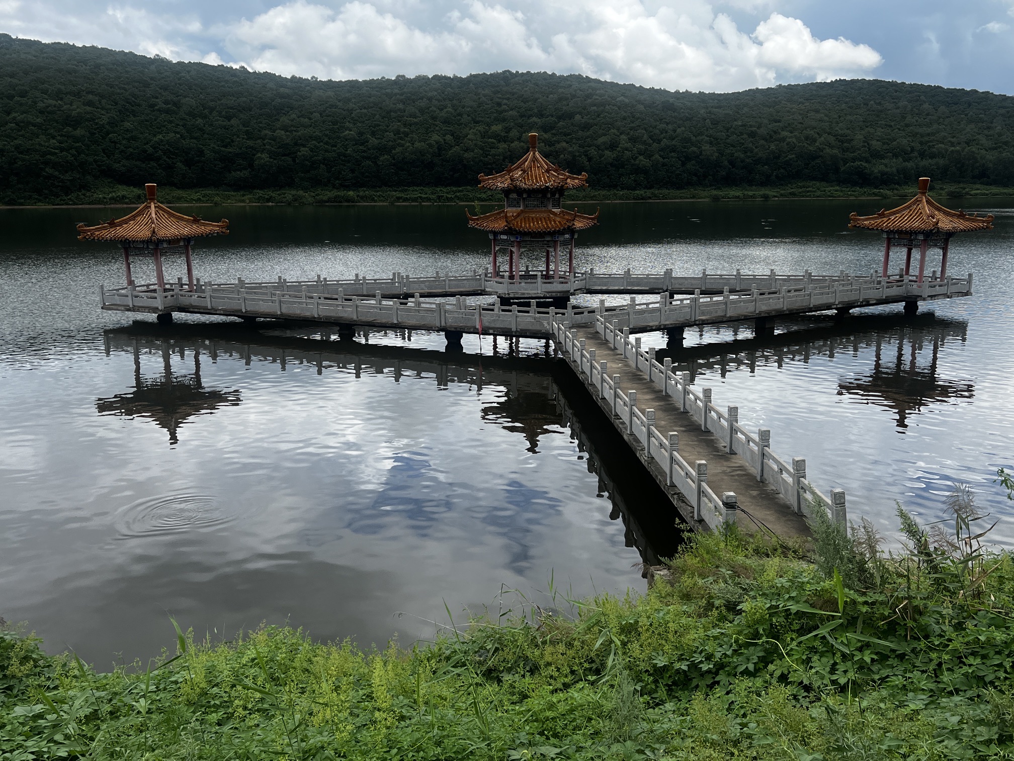 铁西森林公园旅行图片 1