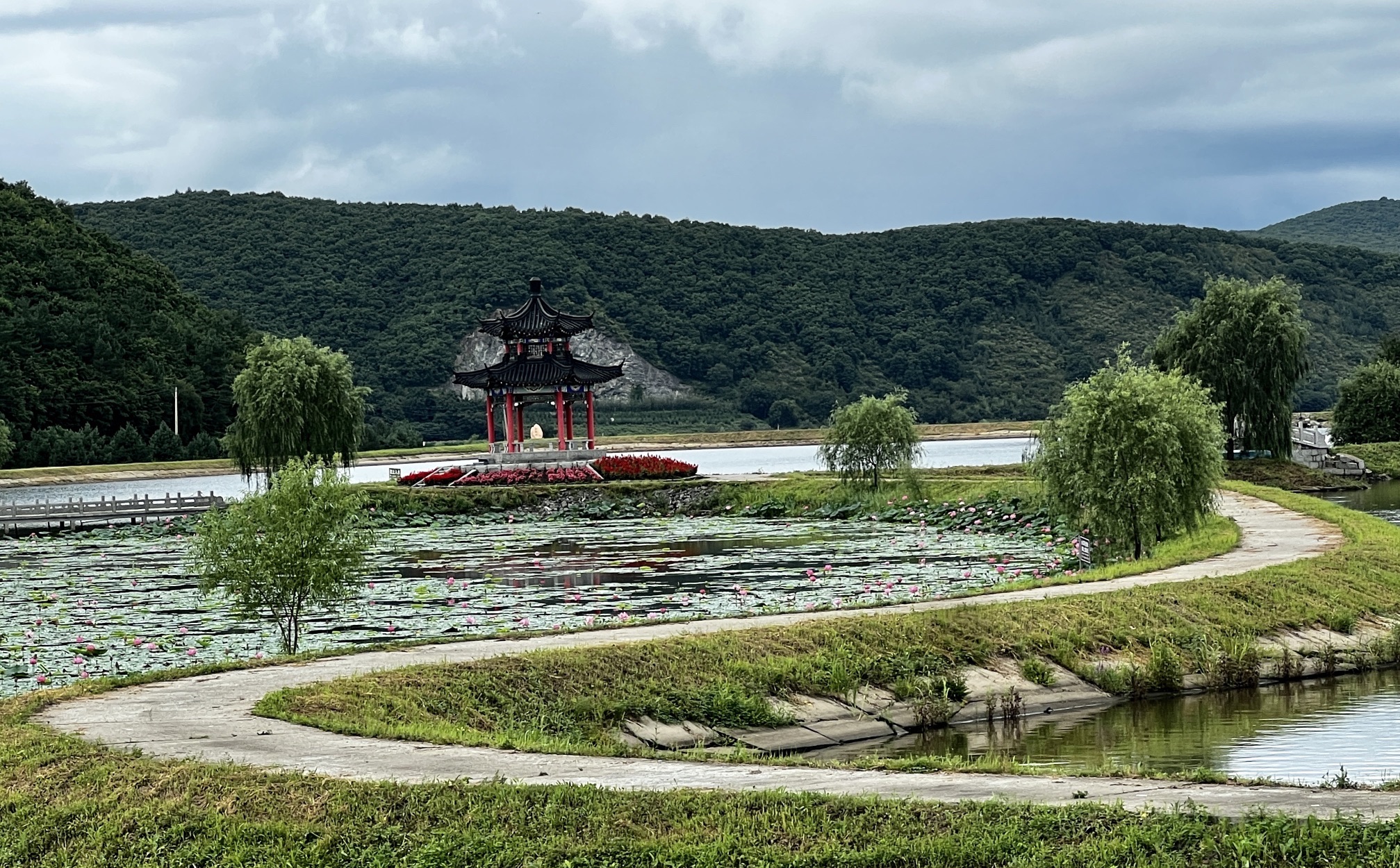 铁西森林公园旅行图片 3