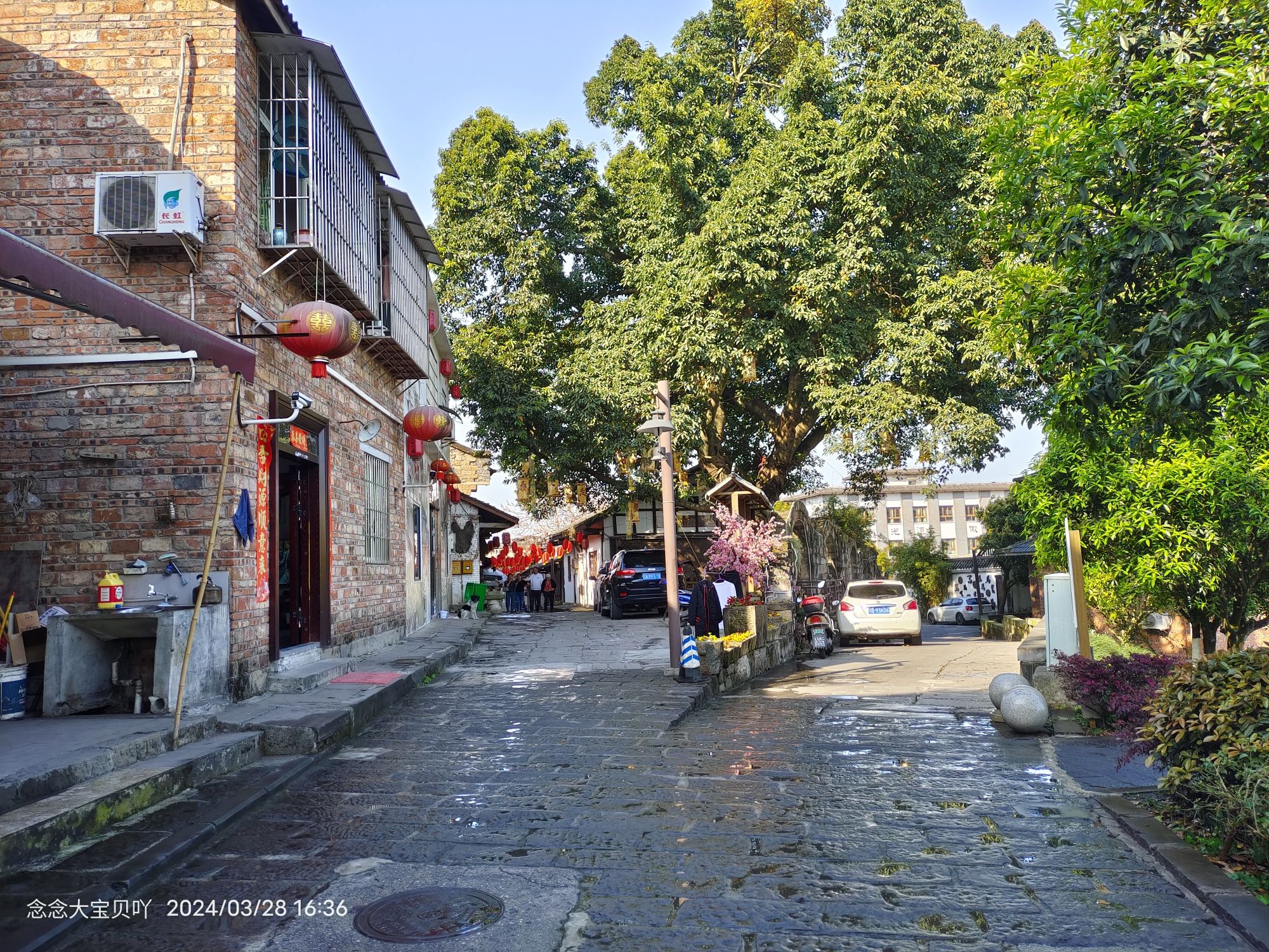 走马古镇旅行图片 2