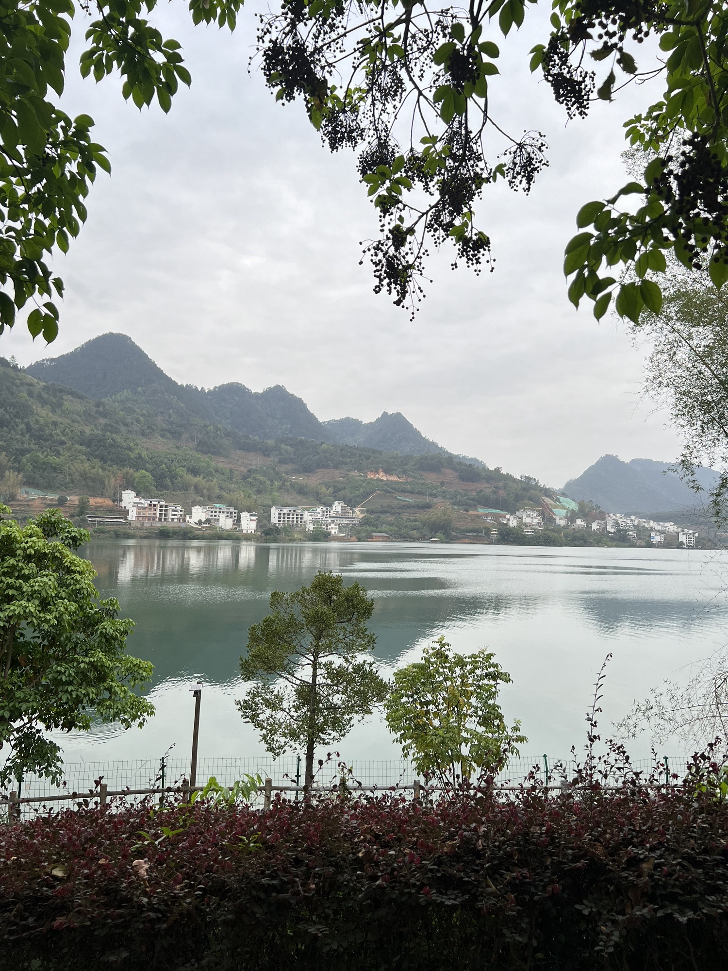 长寿岛旅行图片 2