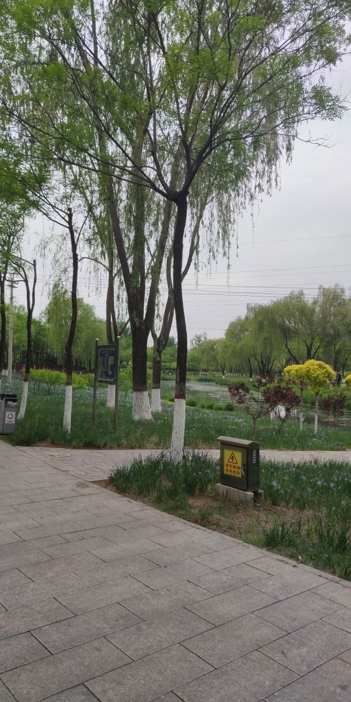 三里河生态走廊旅行图片 1