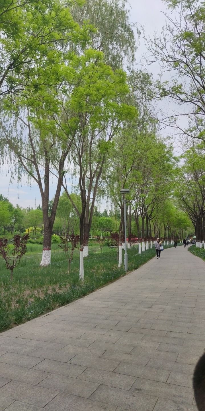 三里河生态走廊旅行图片 2
