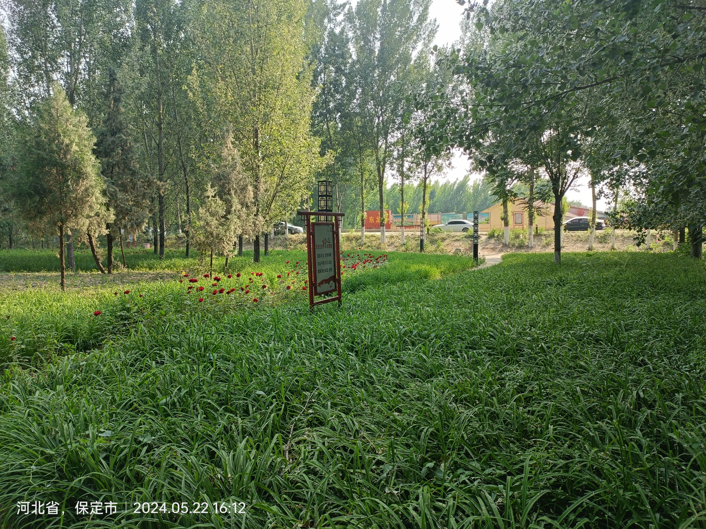 文昌公园旅行图片 2