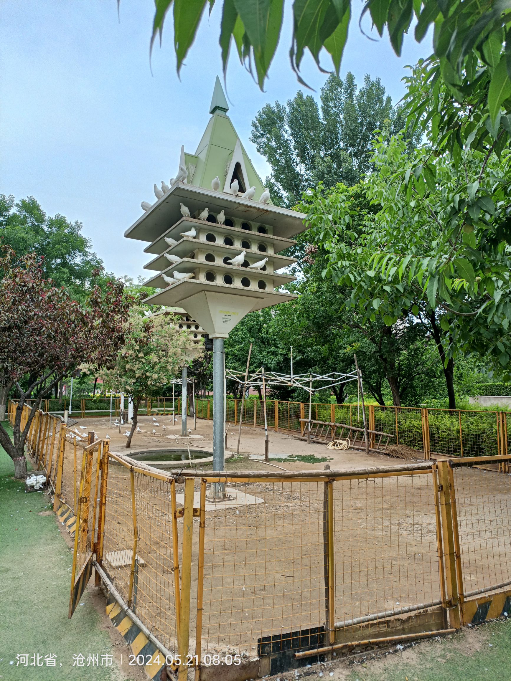 河北任丘石油国家矿山公园旅行图片 2