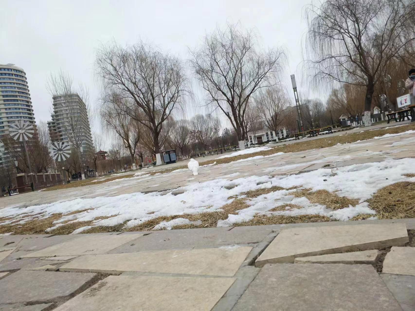 河北任丘石油国家矿山公园旅行图片 2