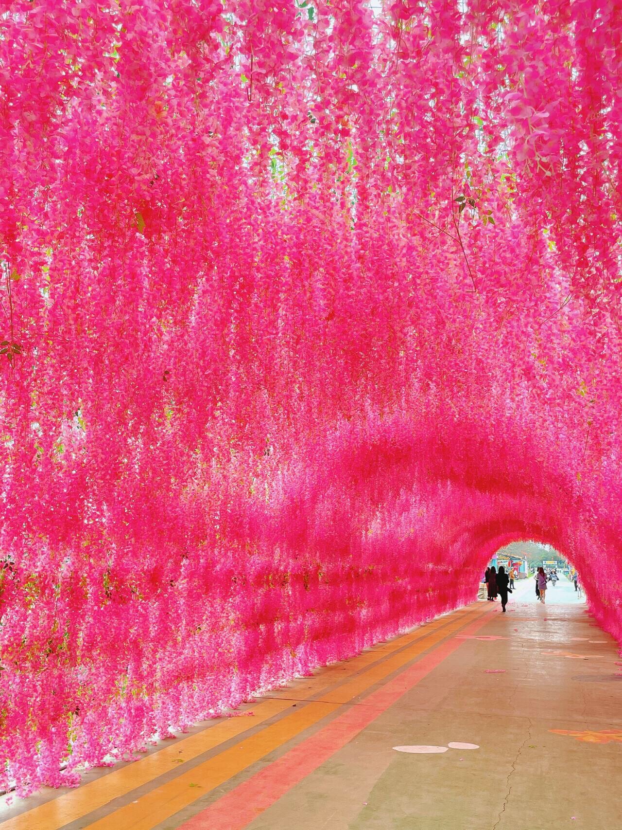 梦里水乡百花园旅行图片 2