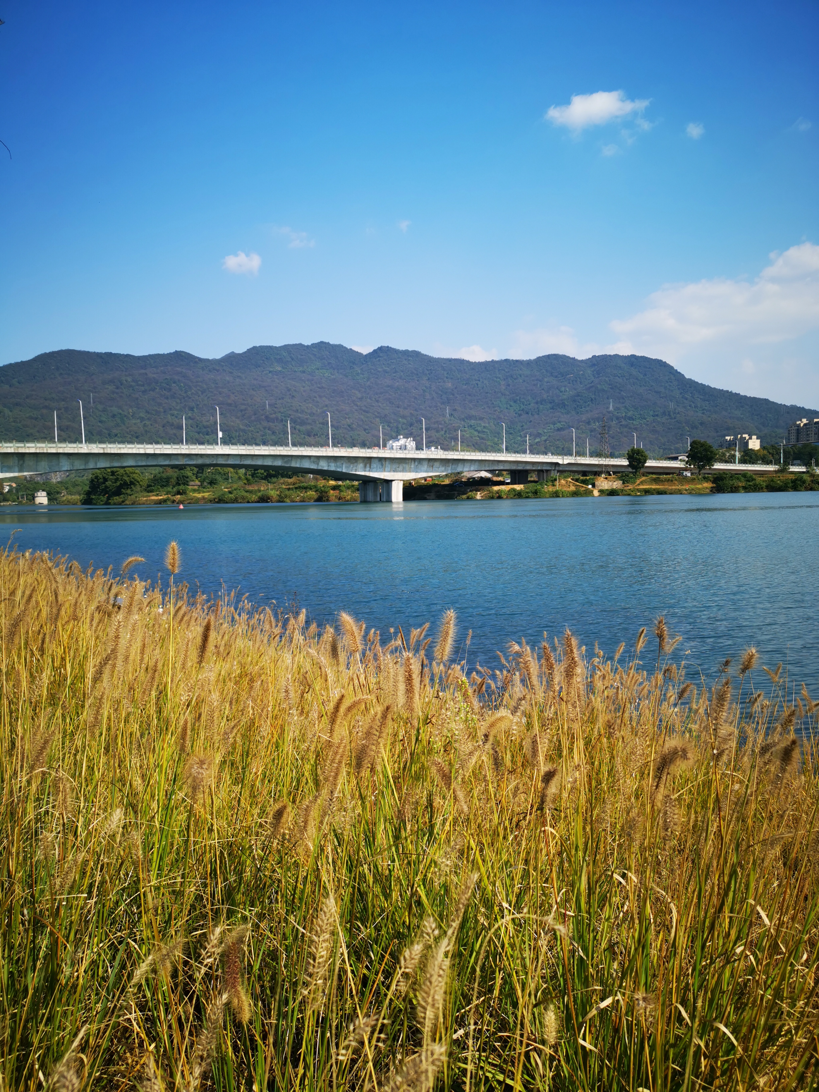 东江湾城市公园旅行图片 3