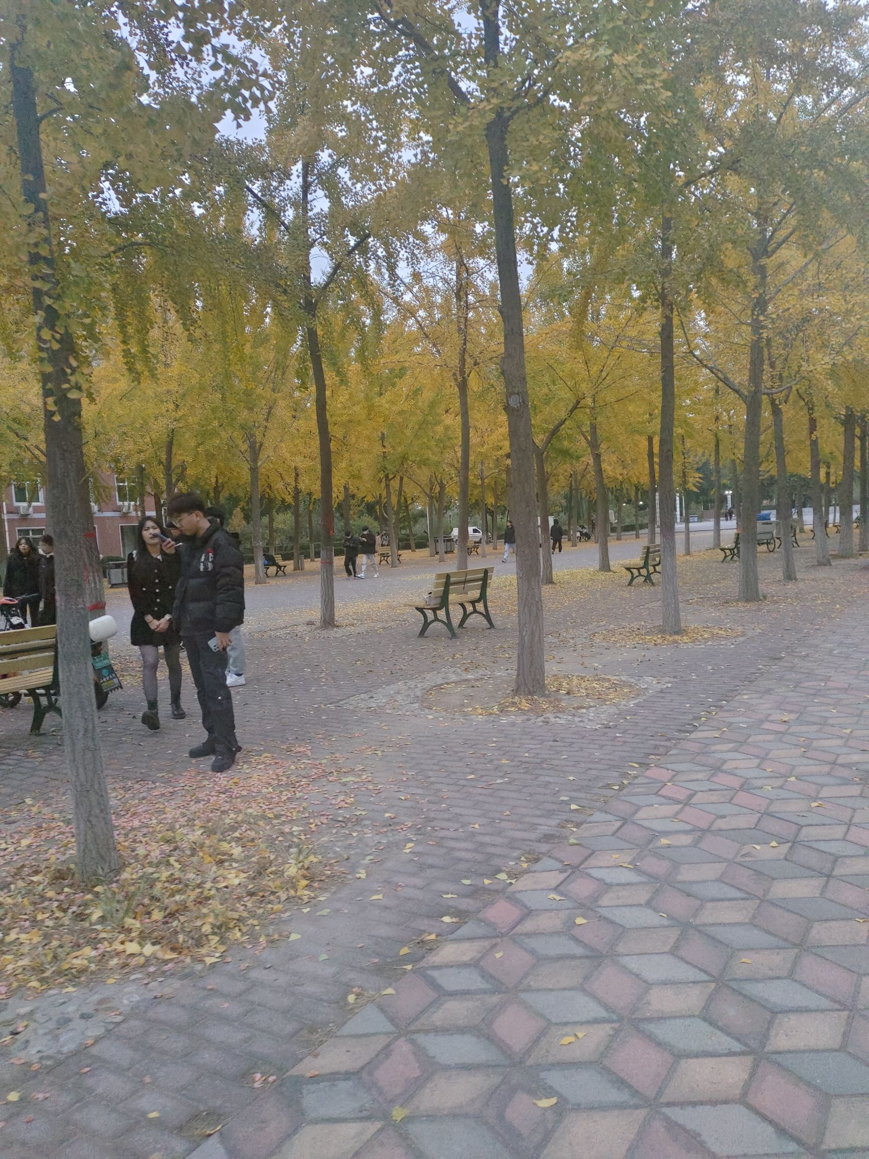 河大社区文化广场旅行图片 3