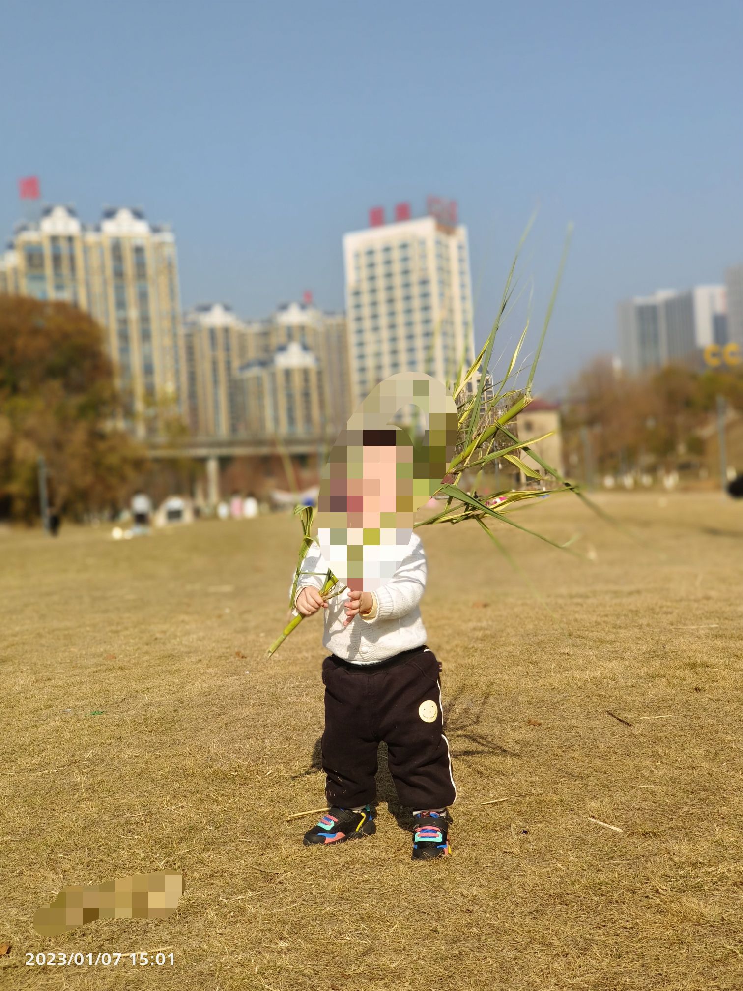 濂溪文化公园旅行图片 3