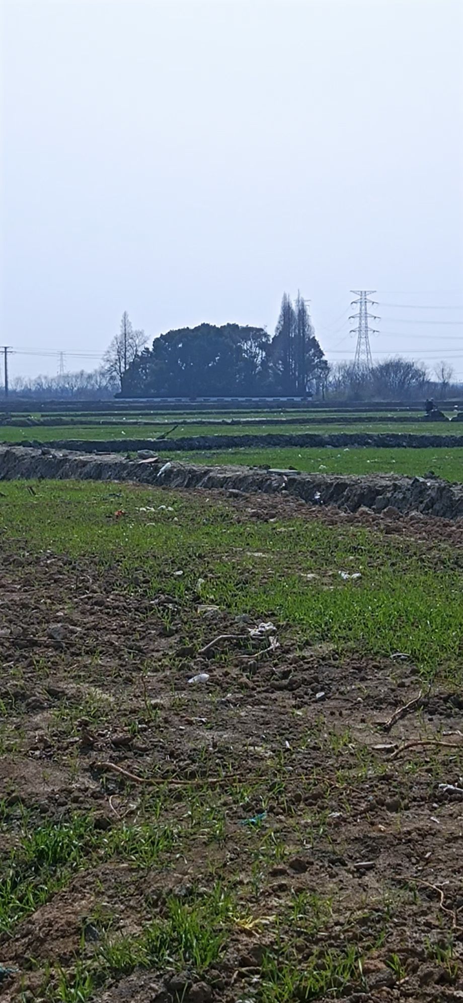 清名医徐灵胎墓旅行图片 1