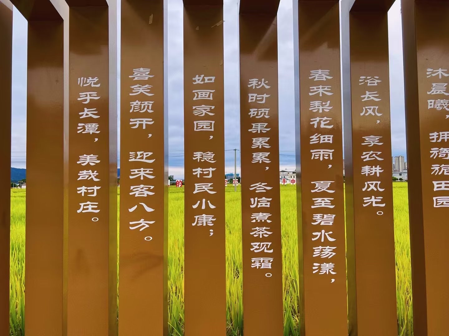 白马村上合花海旅行图片 1
