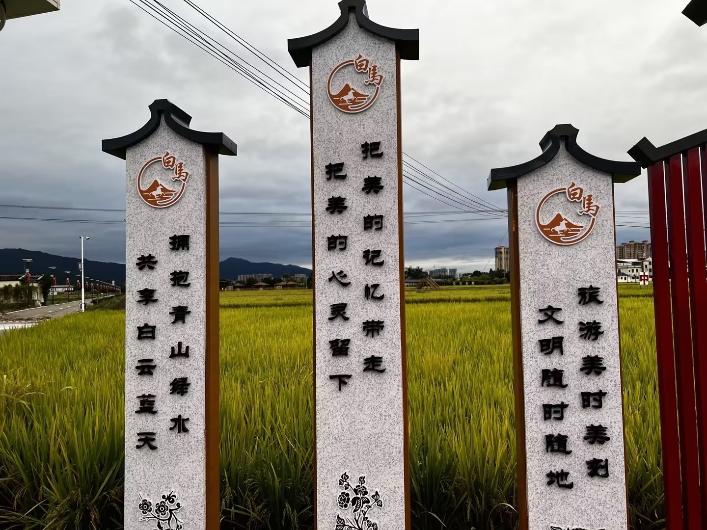 白马村上合花海旅行图片 3