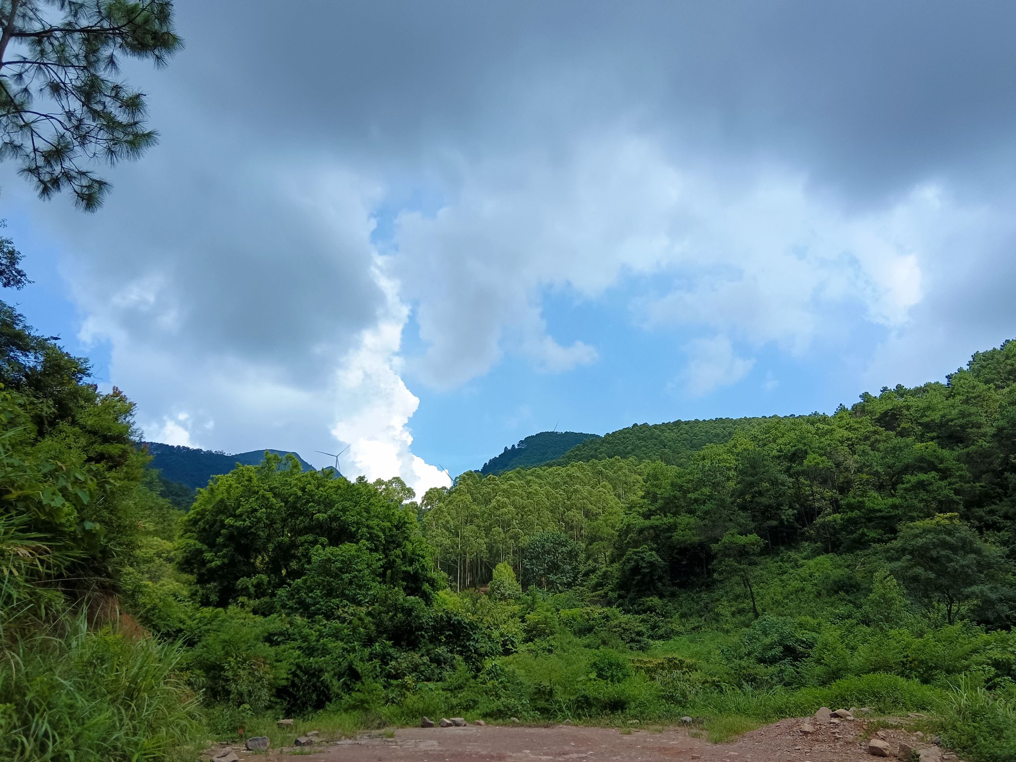 东塘山瀑布旅行图片 1