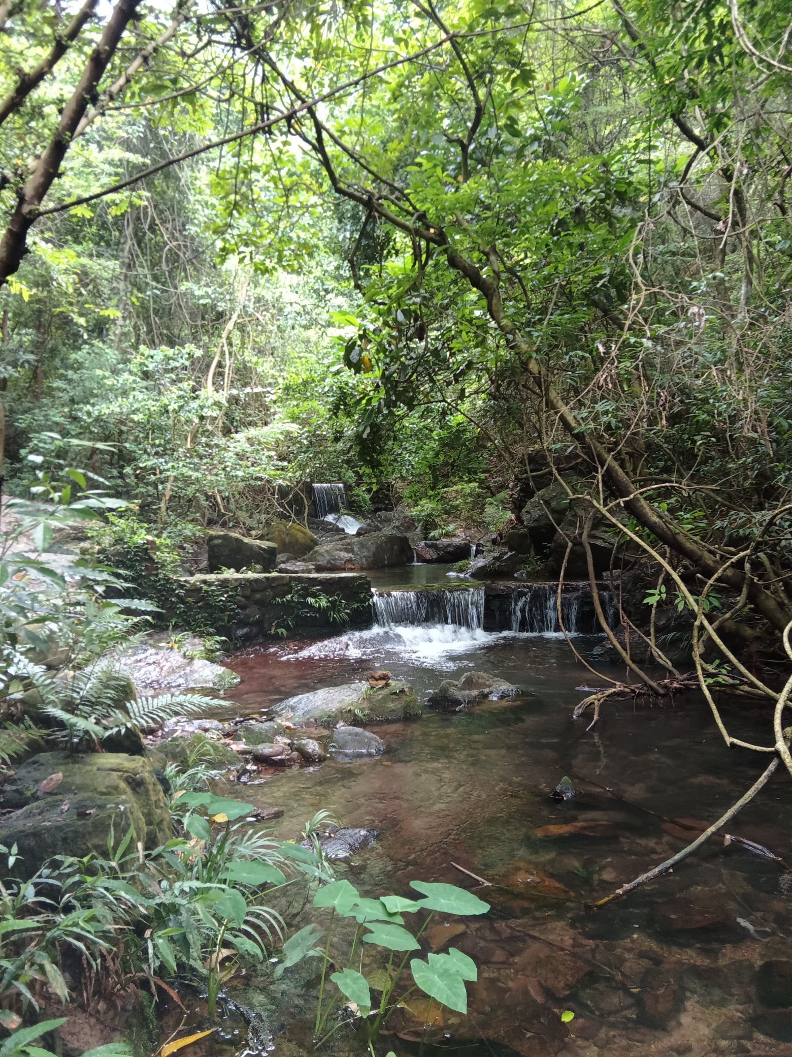 东塘山瀑布旅行图片 3