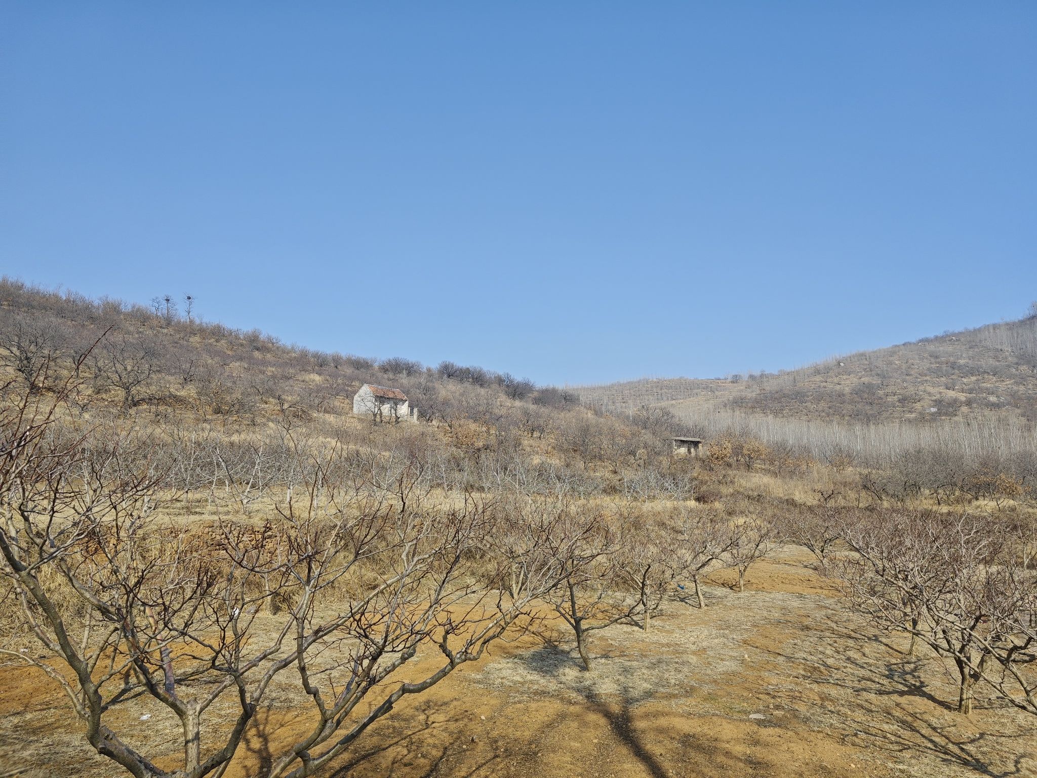 平邑香山红叶谷旅行图片 1