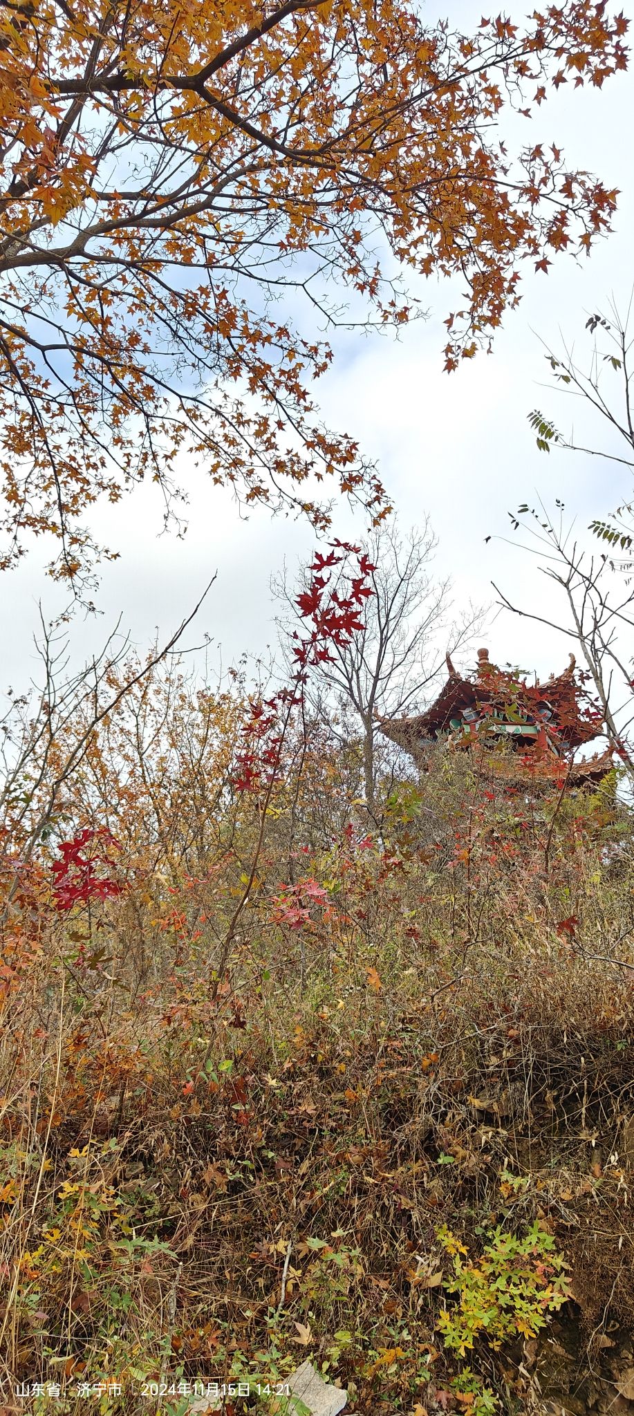 平邑香山红叶谷旅行图片 2