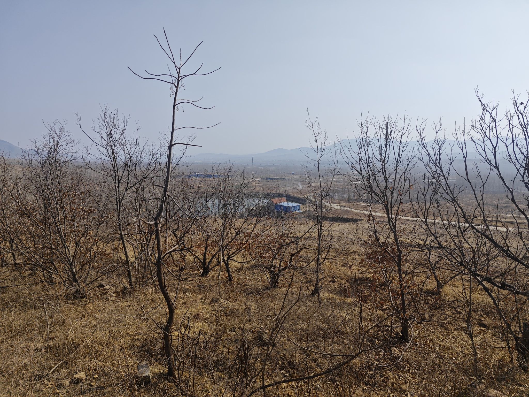 平邑香山红叶谷旅行图片 3