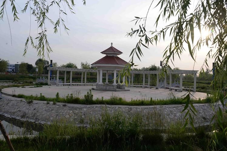 茌平区潜流湿地公园旅行图片 3