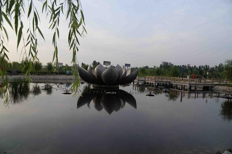 茌平区潜流湿地公园旅行图片 1