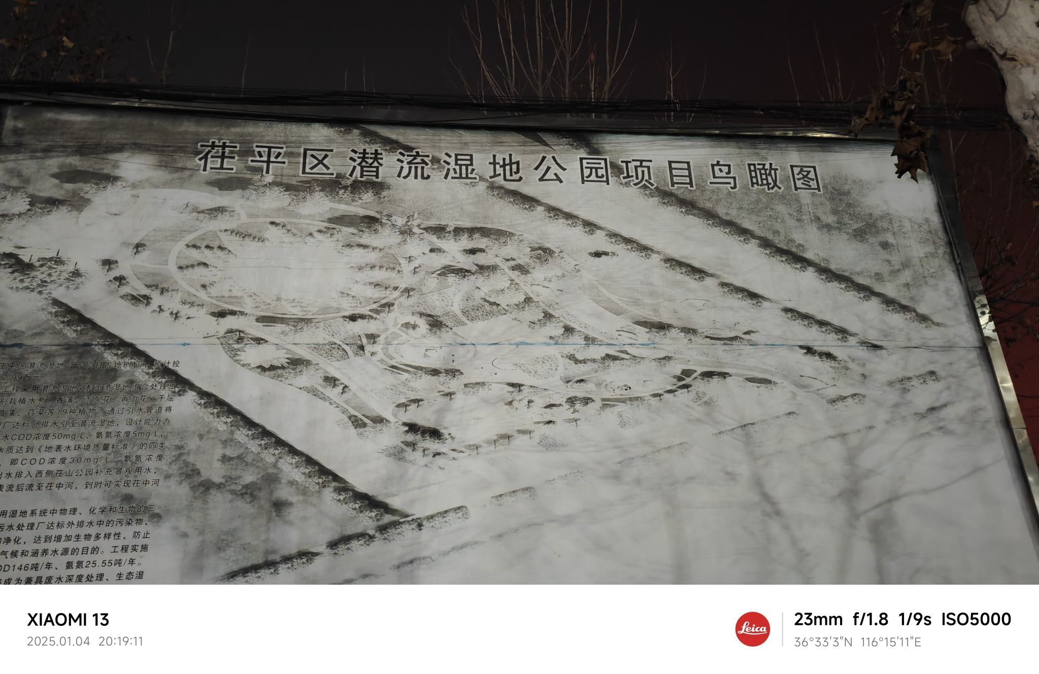 茌平区潜流湿地公园旅行图片 2