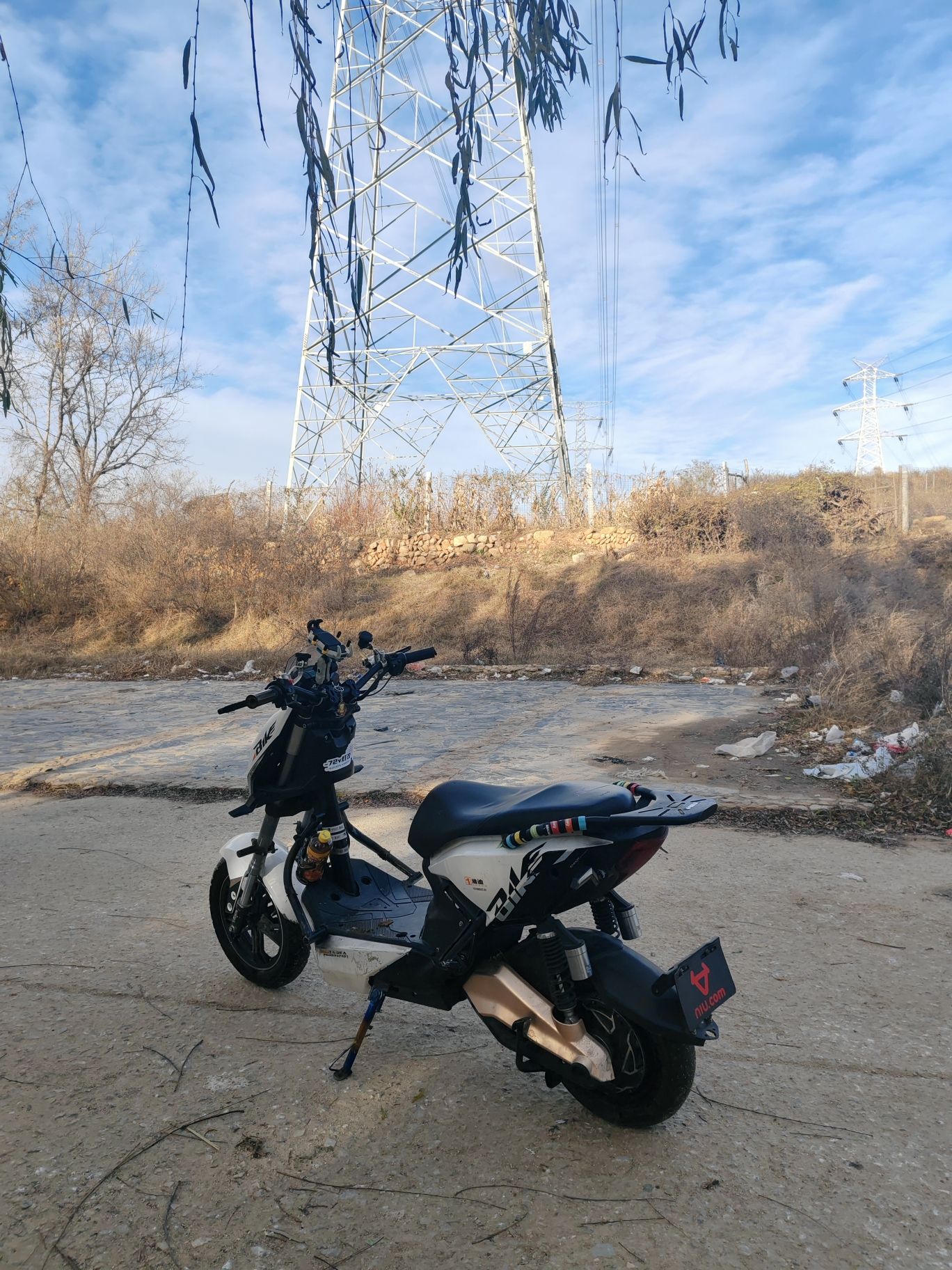银杏古道旅行图片 2
