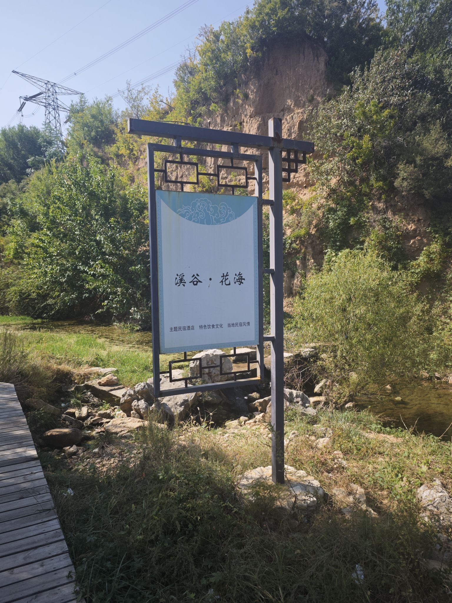 银杏古道旅行图片 1