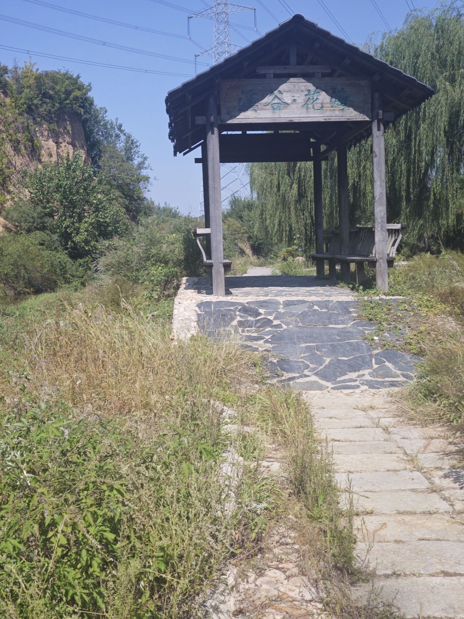 银杏古道旅行图片 2