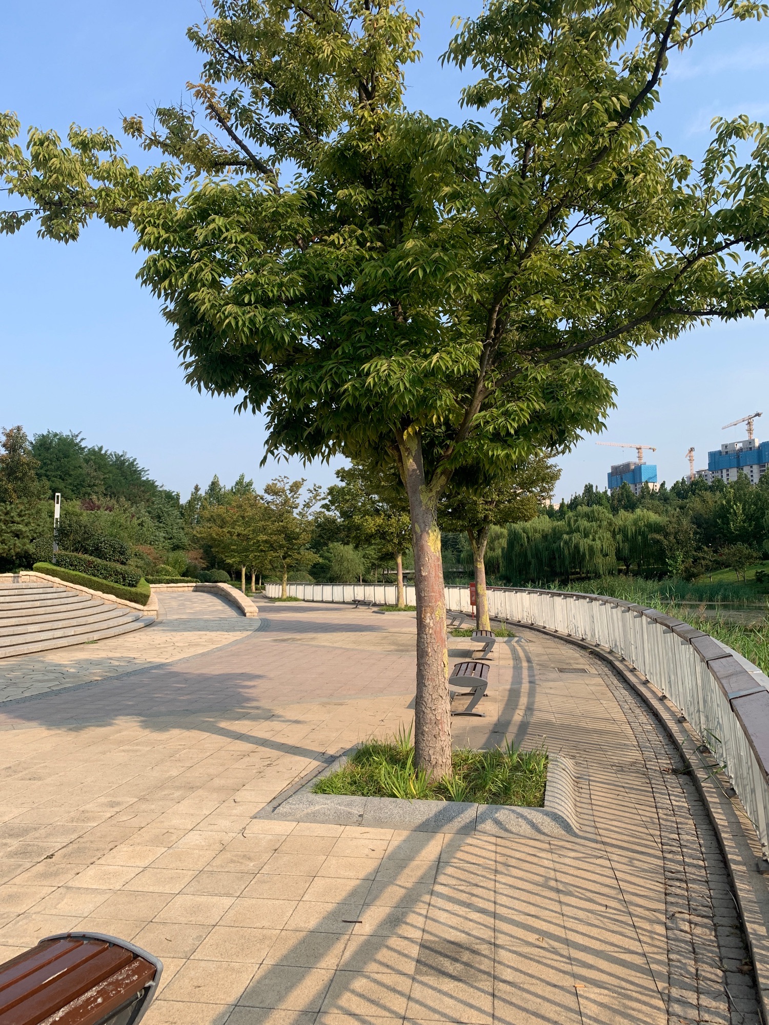 山王河湿地公园旅行图片 3