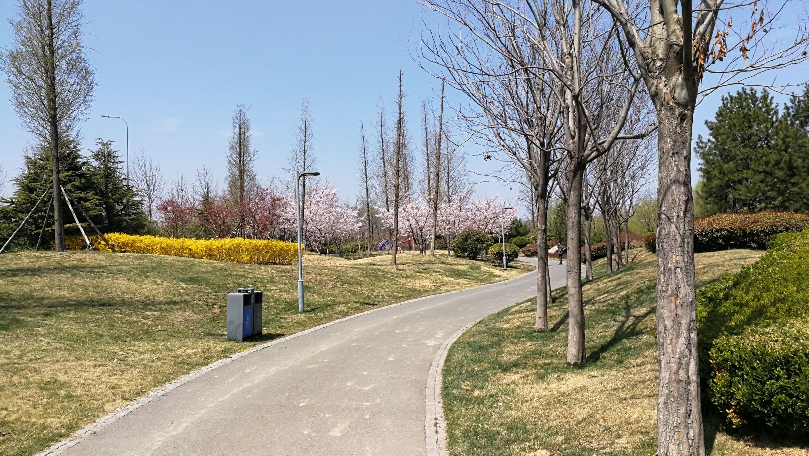 山王河湿地公园旅行图片 3