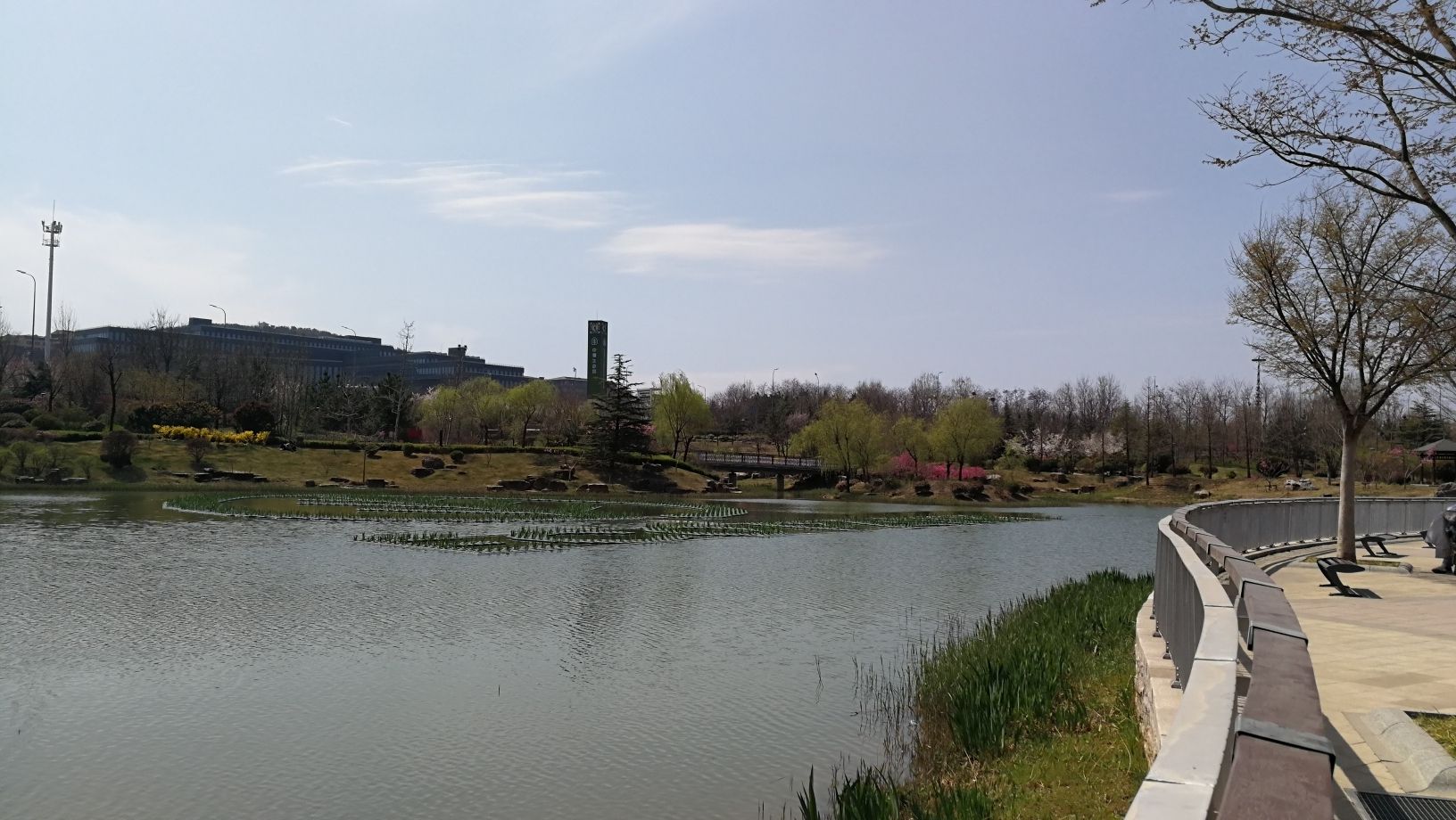 山王河湿地公园旅行图片 2