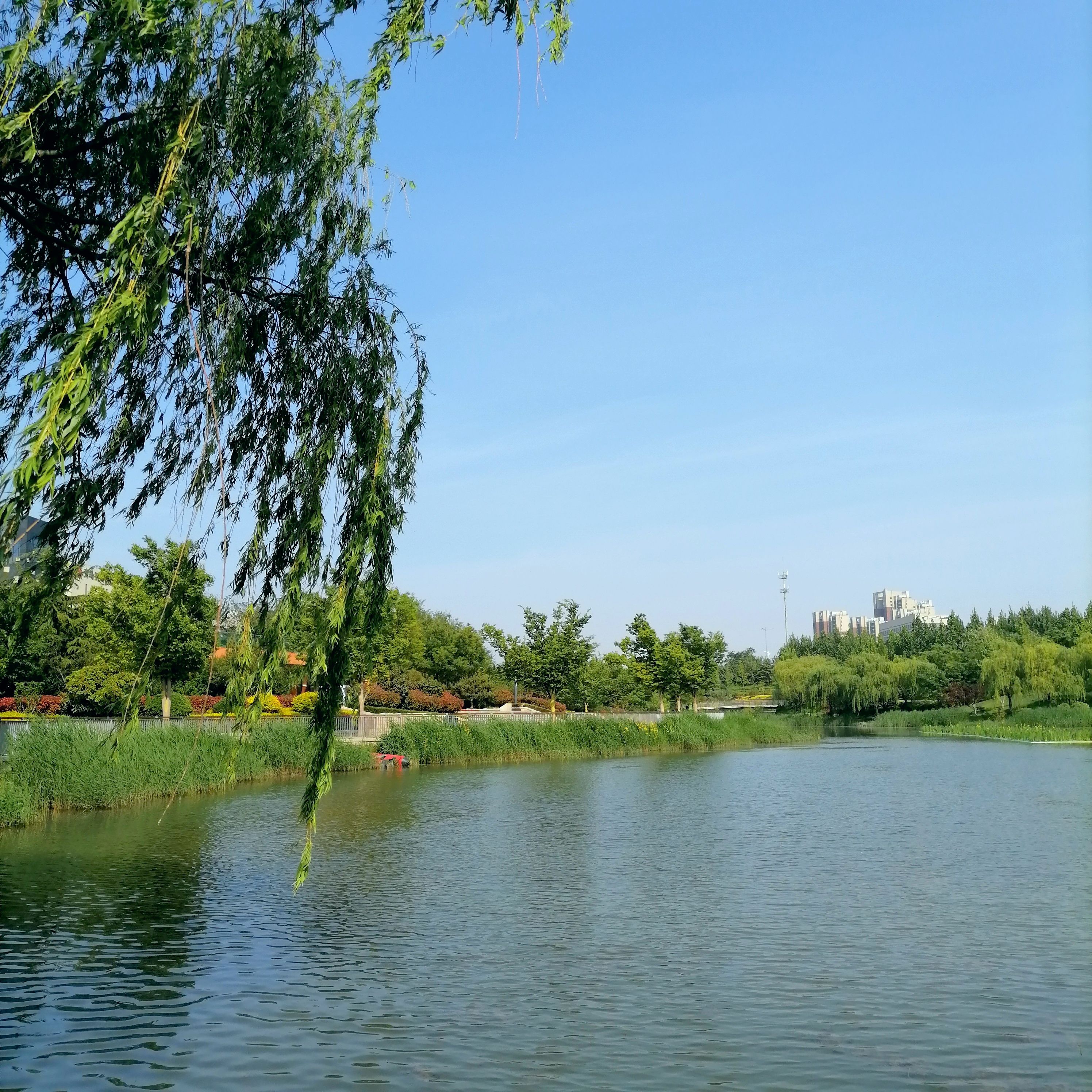 山王河湿地公园