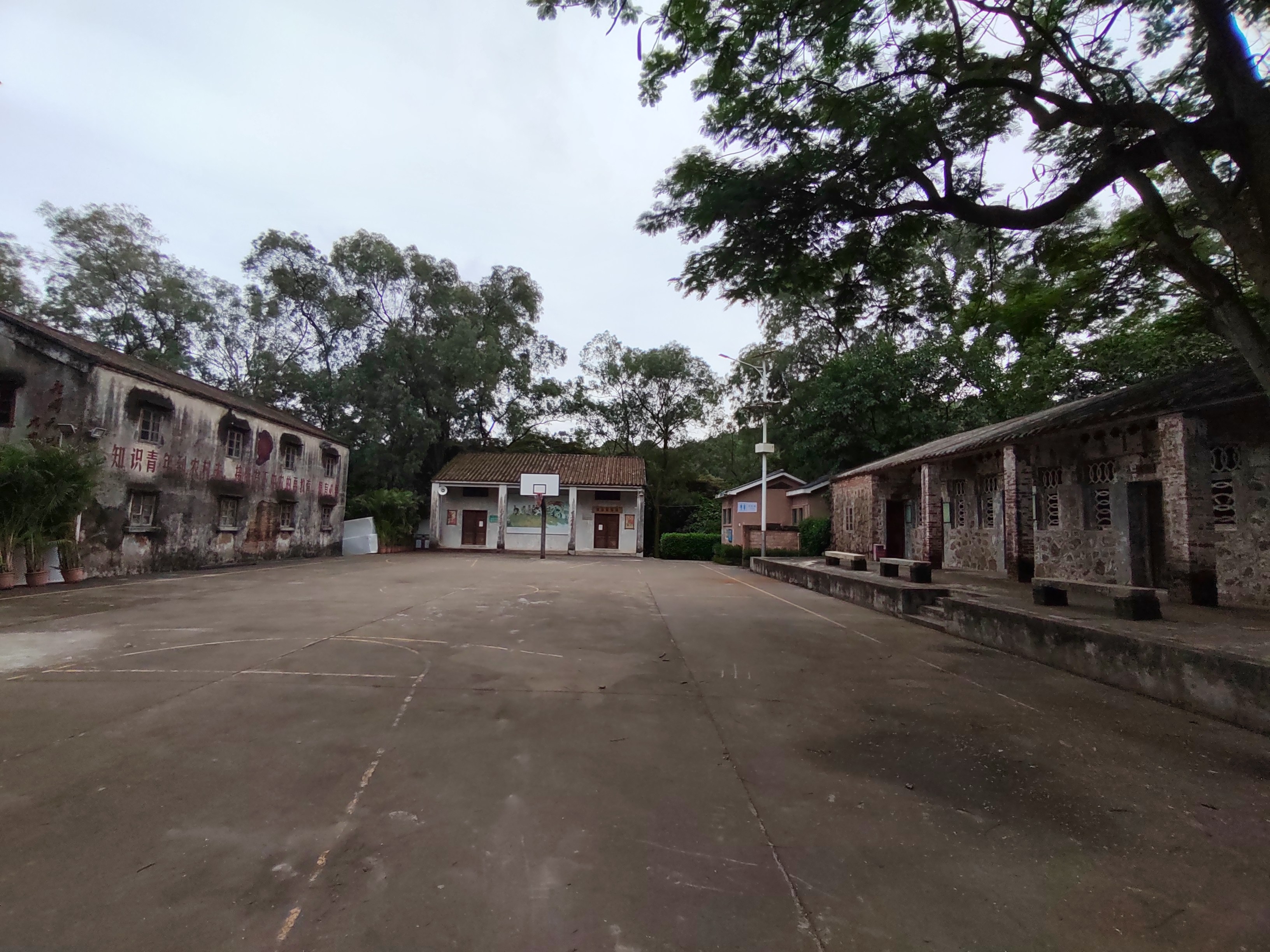 大西坑-知青林场旧址