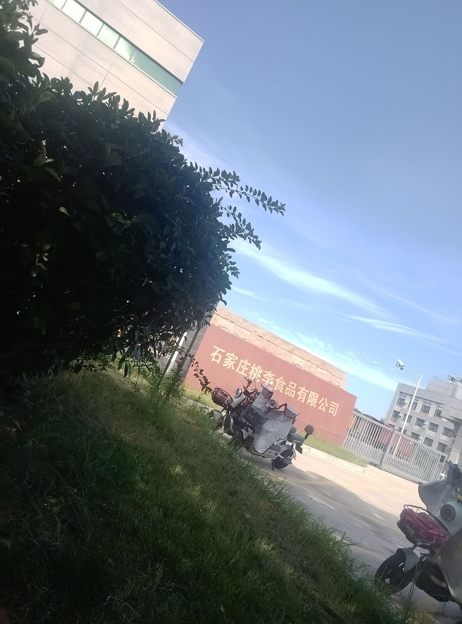 石家庄桃李食品有限公司