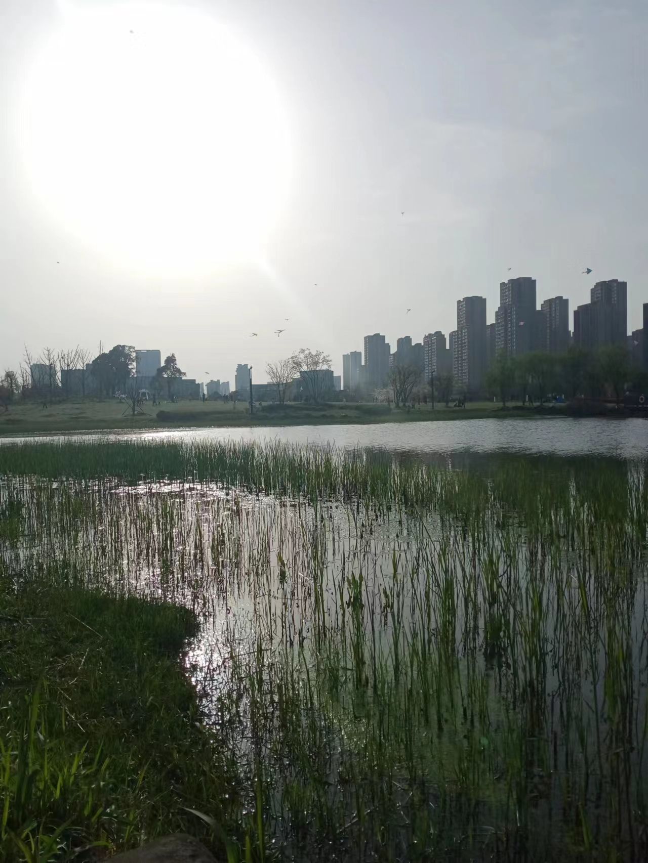 李宁体育公园旅行图片 2