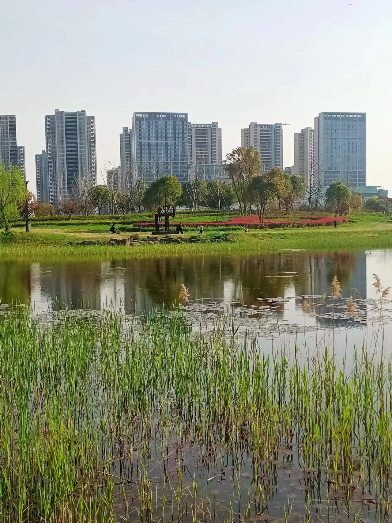 李宁体育公园旅行图片 3