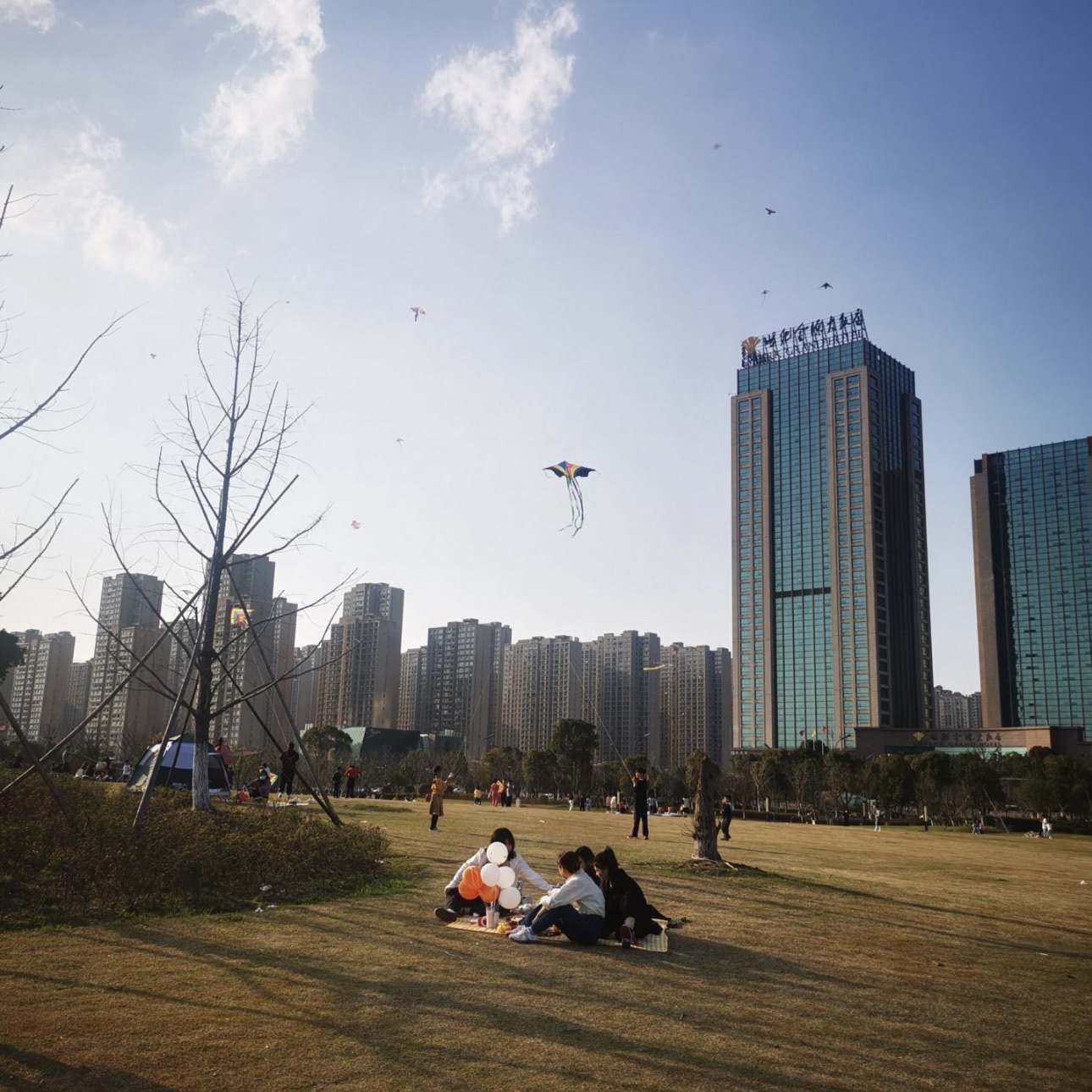 李宁体育公园旅行图片 1